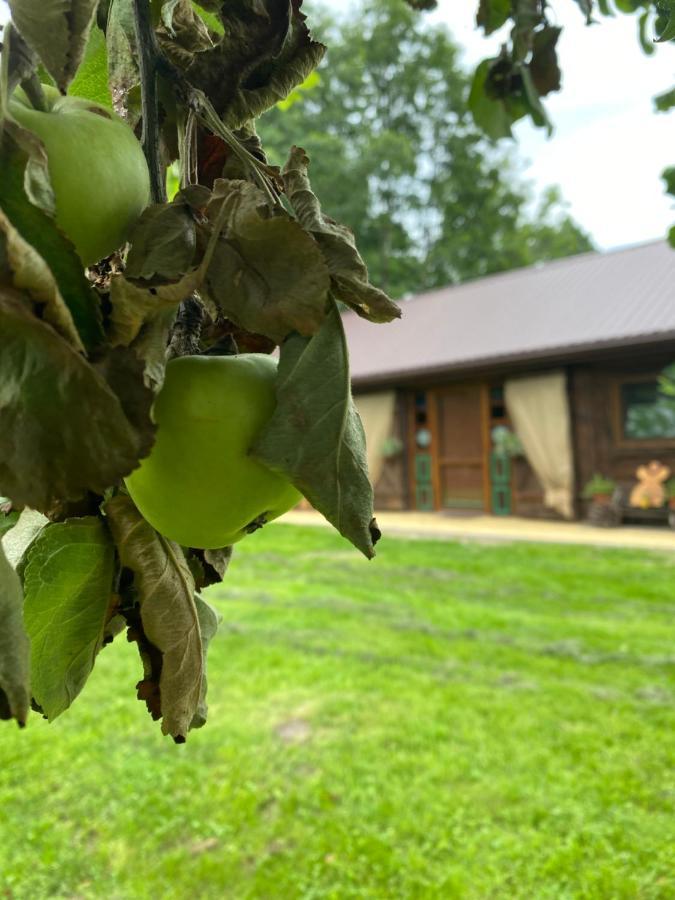 Siedlisko Odpoczynkowo Villa Nowosiolki  ภายนอก รูปภาพ